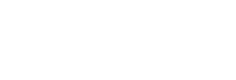 NAVWATCH Logo